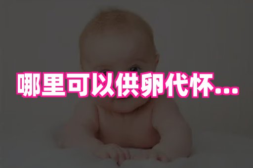 潍坊助孕网 4